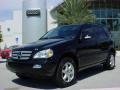 Black - ML 350 4Matic Photo No. 1