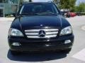 Black - ML 350 4Matic Photo No. 9