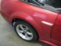 2001 Laser Red Metallic Ford Mustang GT Convertible  photo #28
