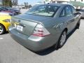 Titanium Green Metallic - Taurus Limited Photo No. 13