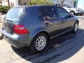 Blue Anthracite Metallic - Golf GLS 4 Door Photo No. 6