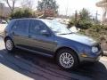 Blue Anthracite Metallic - Golf GLS 4 Door Photo No. 9