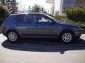 Blue Anthracite Metallic - Golf GLS 4 Door Photo No. 10