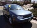 Blue Anthracite Metallic - Golf GLS 4 Door Photo No. 11