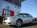 Radiant Silver Metallic - Maxima 3.5 SE Photo No. 1
