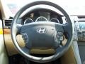 2010 Medium Silver Blue Hyundai Sonata Limited V6  photo #20