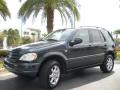 1999 Black Opal Metallic Mercedes-Benz ML 430 4Matic  photo #2