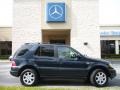 1999 Black Opal Metallic Mercedes-Benz ML 430 4Matic  photo #5