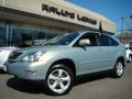 Bamboo Green Pearl - RX 350 AWD Photo No. 1