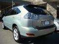 Bamboo Green Pearl - RX 350 AWD Photo No. 4