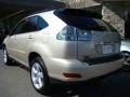 Savannah Beige Metallic - RX 350 AWD Photo No. 4