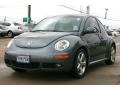 Platinum Grey - New Beetle 2.5 Coupe Photo No. 11