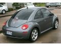 Platinum Grey - New Beetle 2.5 Coupe Photo No. 15