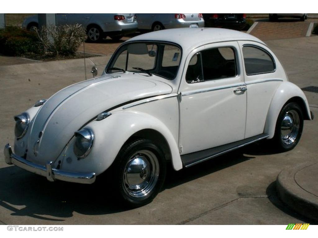 1961 Beetle Coupe - Pearl White / Gray photo #4