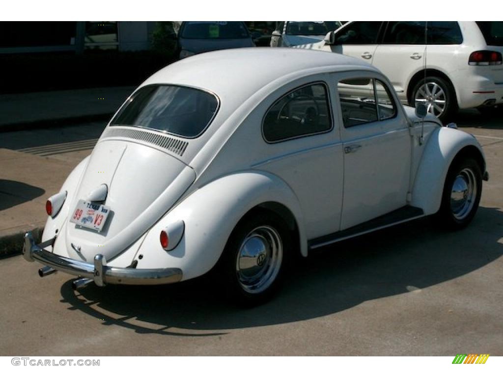 1961 Beetle Coupe - Pearl White / Gray photo #10