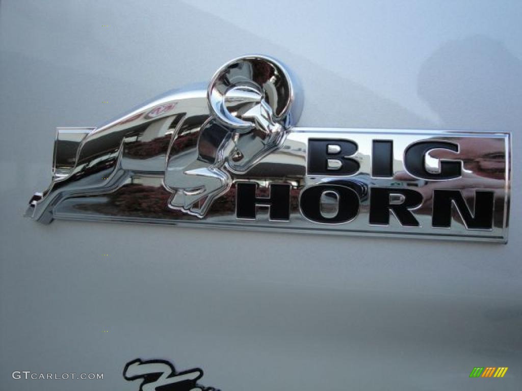 2010 Ram 1500 Big Horn Crew Cab 4x4 - Bright Silver Metallic / Dark Slate/Medium Graystone photo #9