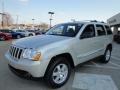 2010 Light Graystone Pearl Jeep Grand Cherokee Laredo 4x4  photo #7