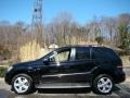 Black - ML 350 4Matic Photo No. 3