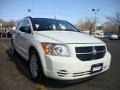 Stone White - Caliber SXT Photo No. 14