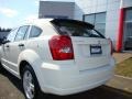 Stone White - Caliber SXT Photo No. 18