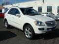 Arctic White - ML 350 4Matic Photo No. 3