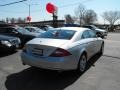 Iridium Silver Metallic - CLS 500 Photo No. 5
