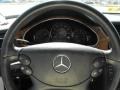 Iridium Silver Metallic - CLS 500 Photo No. 15