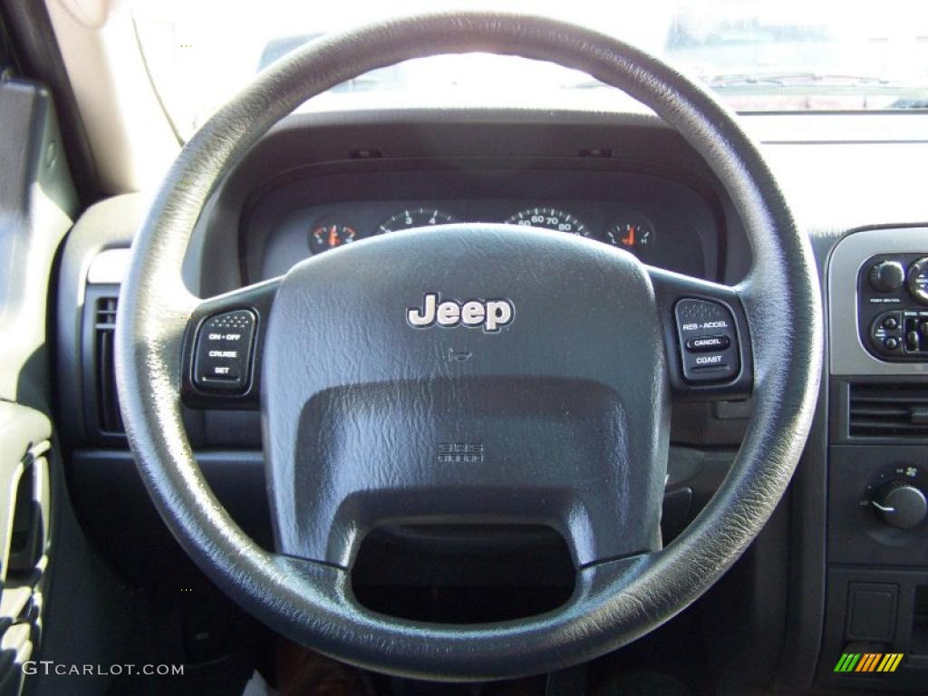 2003 Grand Cherokee Laredo 4x4 - Brilliant Black / Dark Slate Gray photo #19