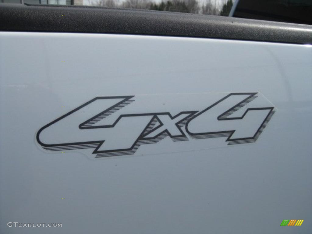 2006 F150 XLT SuperCrew 4x4 - Oxford White / Black/Medium Flint photo #18