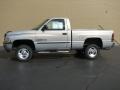 2001 Bright Silver Metallic Dodge Ram 1500 SLT Regular Cab 4x4  photo #1