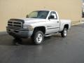 2001 Bright Silver Metallic Dodge Ram 1500 SLT Regular Cab 4x4  photo #2