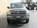 2001 Bright Silver Metallic Dodge Ram 1500 SLT Regular Cab 4x4  photo #3