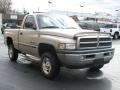 2001 Bright Silver Metallic Dodge Ram 1500 SLT Regular Cab 4x4  photo #4