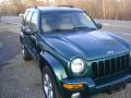 2003 Timberline Green Metallic Jeep Liberty Limited 4x4  photo #7