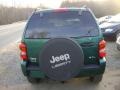 2003 Timberline Green Metallic Jeep Liberty Limited 4x4  photo #10