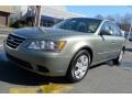 Natural Khaki Green - Sonata GLS Photo No. 13