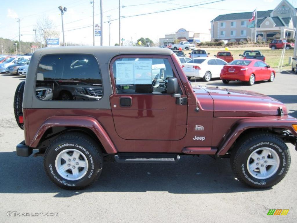 2004 Wrangler Sahara 4x4 - Sienna Pearl / Khaki photo #6