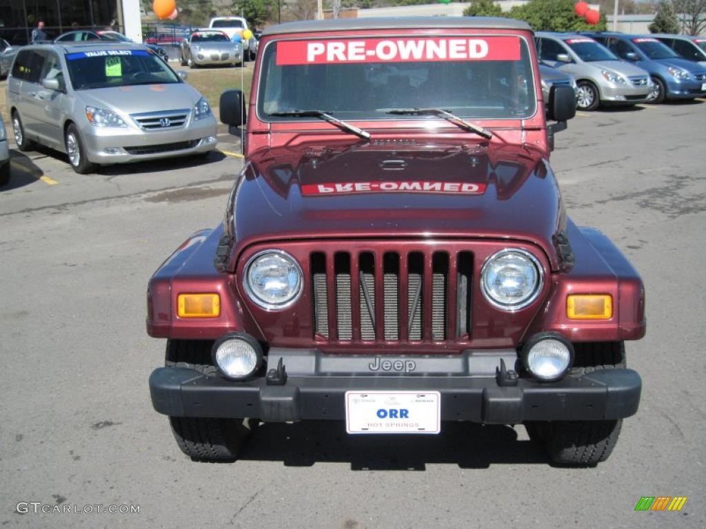 2004 Wrangler Sahara 4x4 - Sienna Pearl / Khaki photo #8