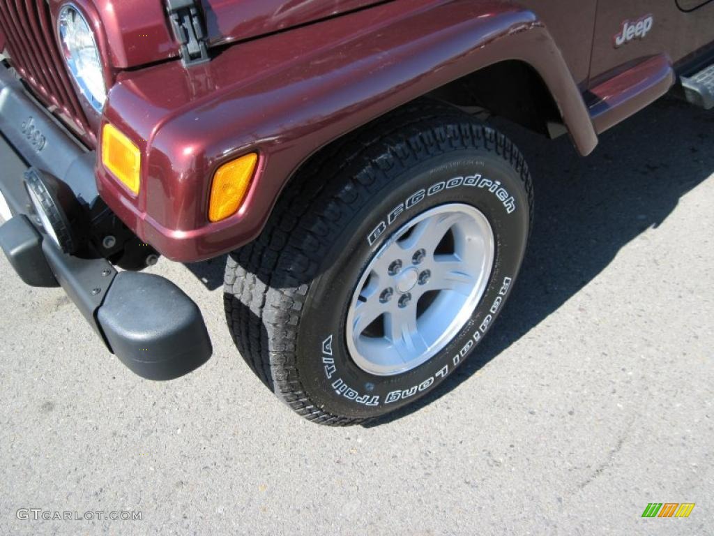 2004 Wrangler Sahara 4x4 - Sienna Pearl / Khaki photo #9