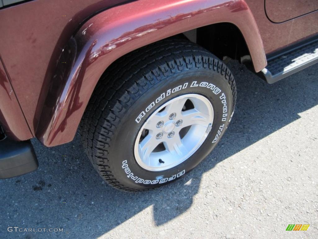 2004 Wrangler Sahara 4x4 - Sienna Pearl / Khaki photo #11