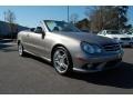 Pewter Metallic - CLK 550 Cabriolet Photo No. 3