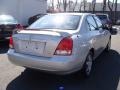 Silver Pewter - Elantra GLS Sedan Photo No. 5