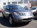 Platinum Metallic - Murano SL AWD Photo No. 3