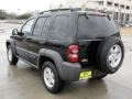 Black Clearcoat - Liberty Sport Photo No. 5