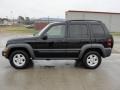 Black Clearcoat - Liberty Sport Photo No. 6