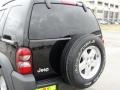 Black Clearcoat - Liberty Sport Photo No. 20