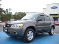 2006 Dark Shadow Grey Metallic Ford Escape Limited  photo #1