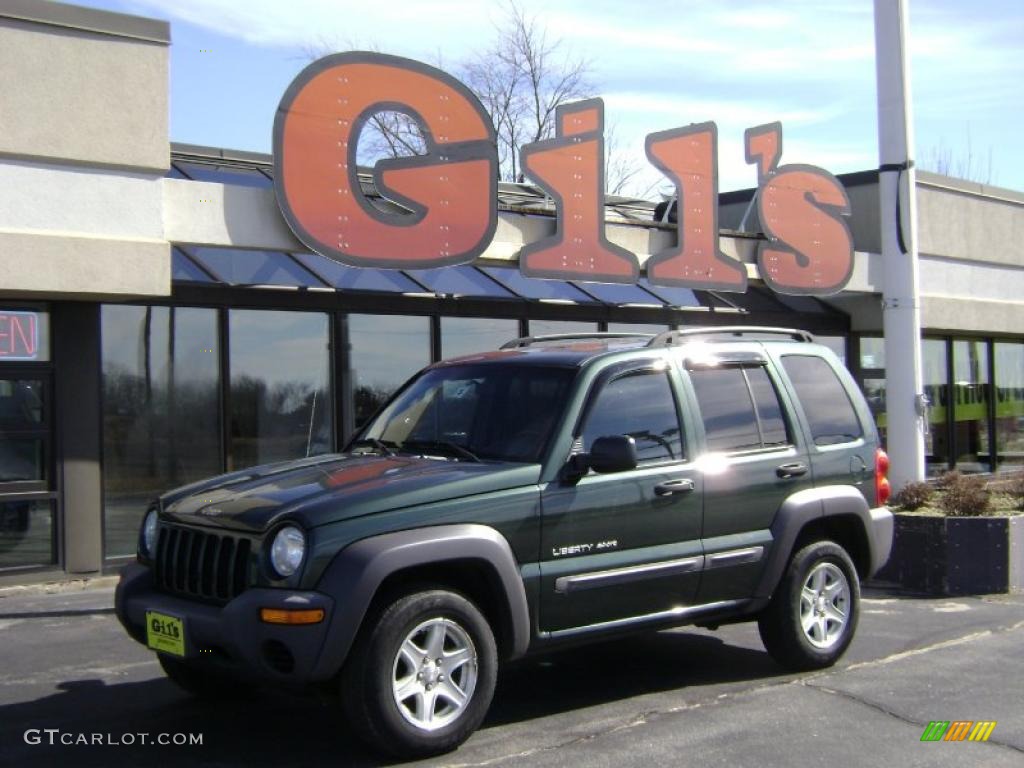 2002 Liberty Sport 4x4 - Shale Green Metallic / Dark Slate Gray photo #1