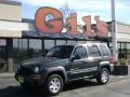 2002 Shale Green Metallic Jeep Liberty Sport 4x4  photo #1