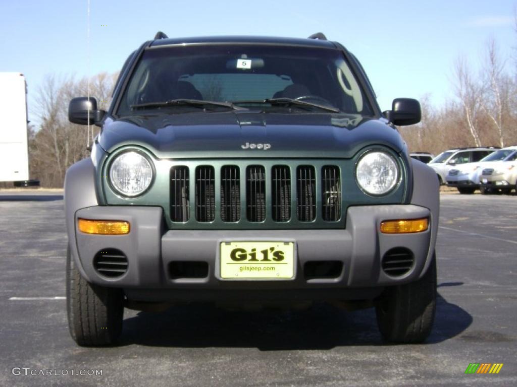 2002 Liberty Sport 4x4 - Shale Green Metallic / Dark Slate Gray photo #2